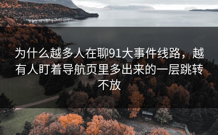 为什么越多人在聊91大事件线路，越有人盯着导航页里多出来的一层跳转不放