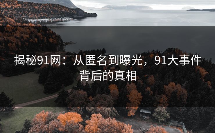 揭秘91网：从匿名到曝光，91大事件背后的真相